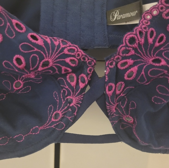 Paramour Navy & Pink Full Figure Bra. 40DDD - Picture 3 of 7